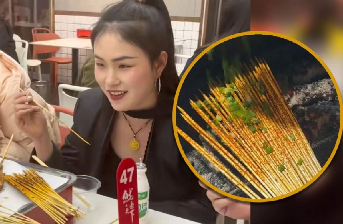 꼬치 이미지