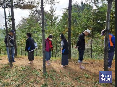 개웅산 유아숲체험원 이미지
