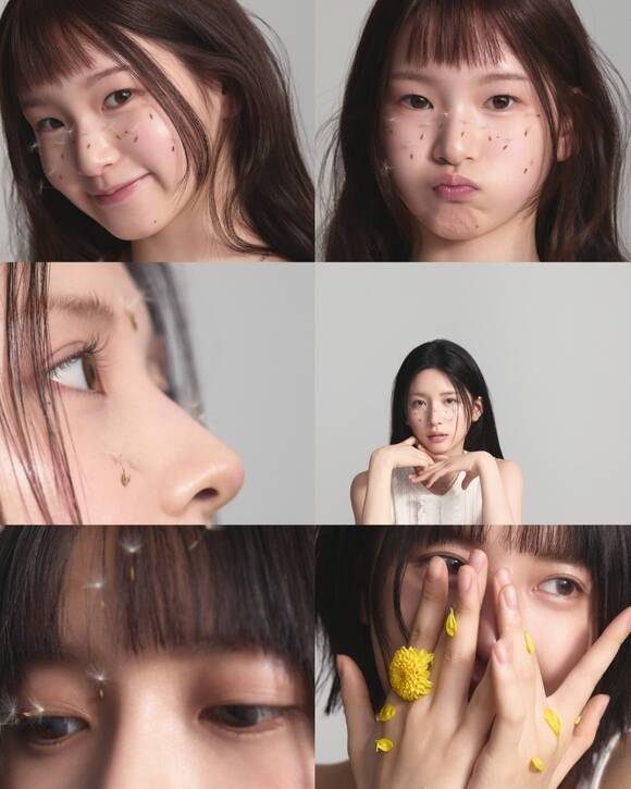 더에이치엔터 이미지
