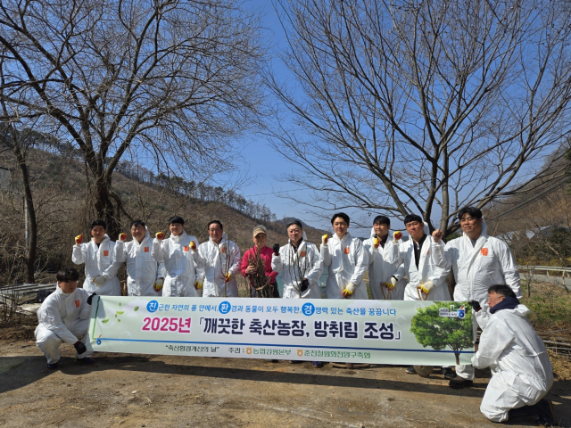 강원솔루션 이미지