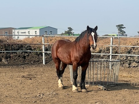 동부축산유통 이미지