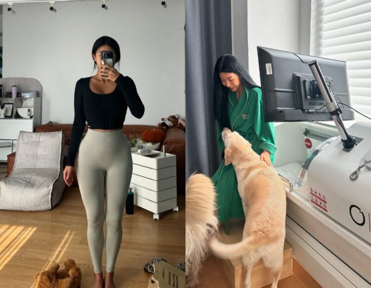 제이제이 이미지