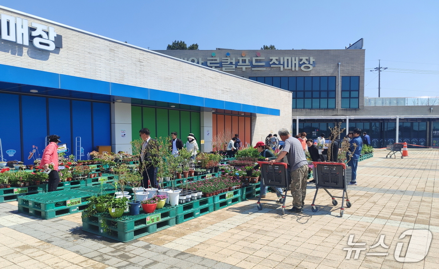백합꽃직매장 이미지