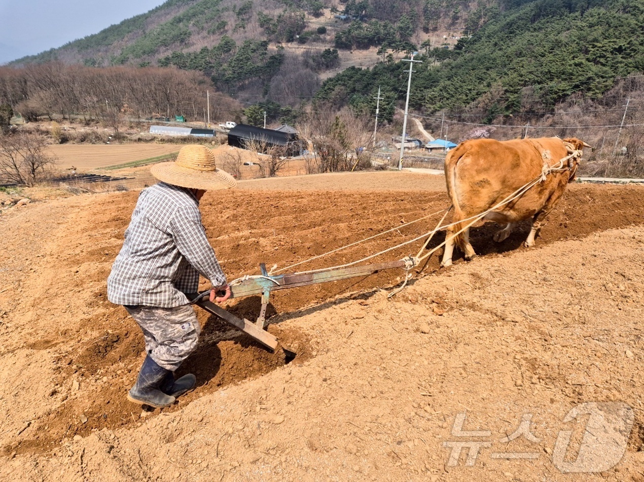 [풍경] 