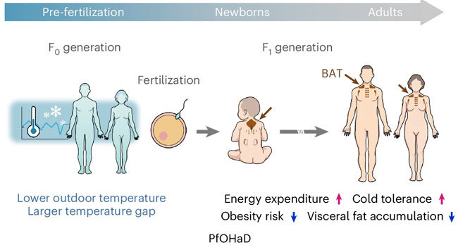 Captured in the paper.