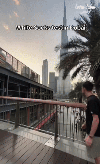 (사진=프리프레스저널) *재판매 및 DB 금지