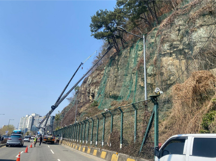 진주네 이미지