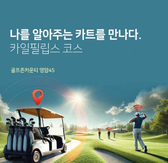 45 이미지