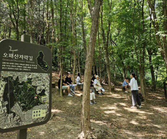 숲 이미지