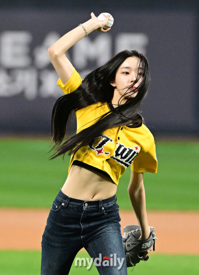 카시아 이미지