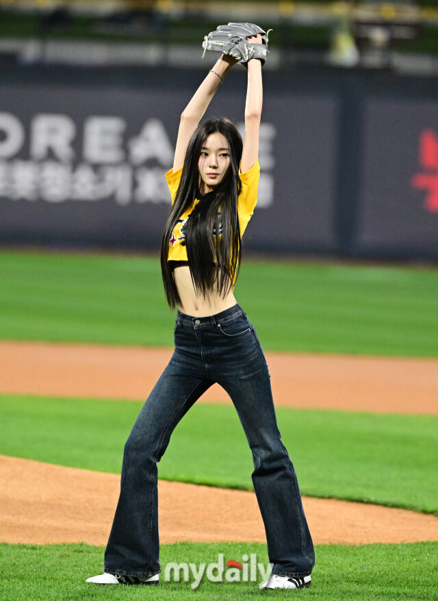 카시아 이미지