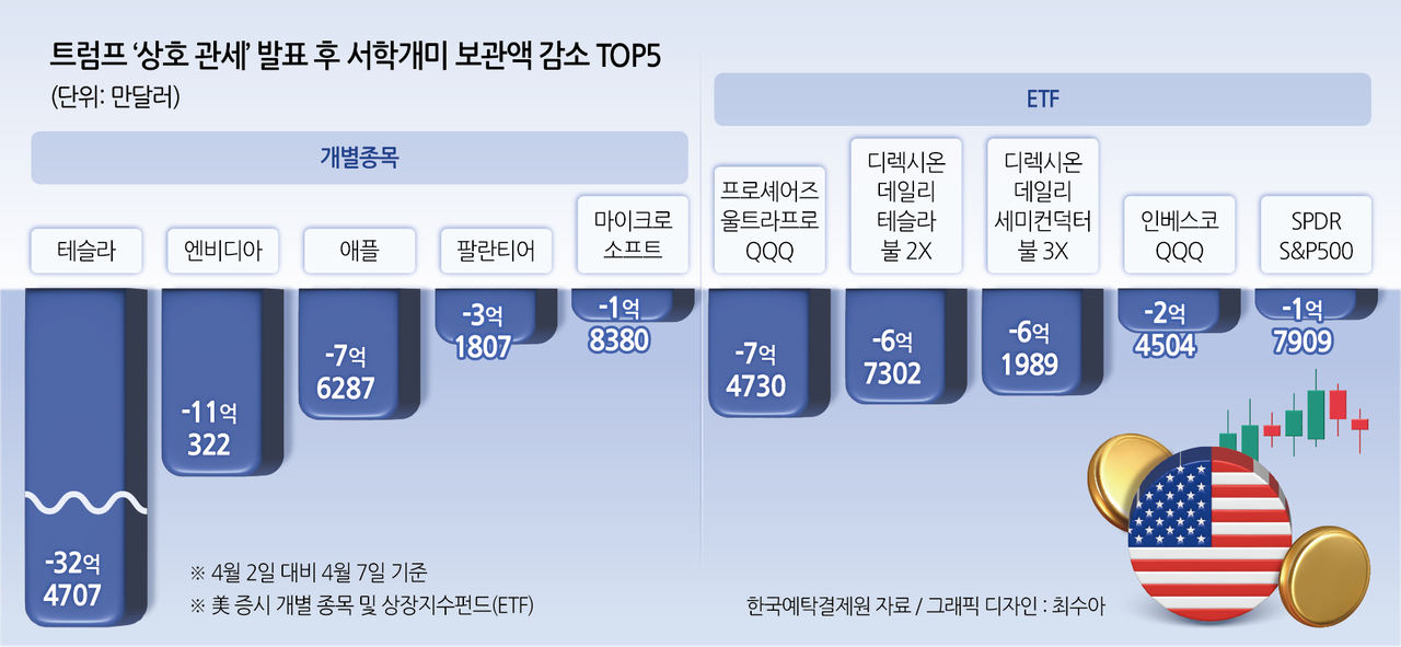 닷새 이미지