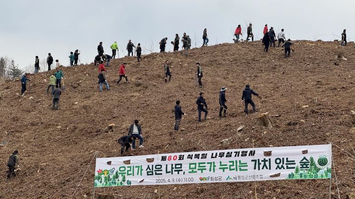 식목일 이미지