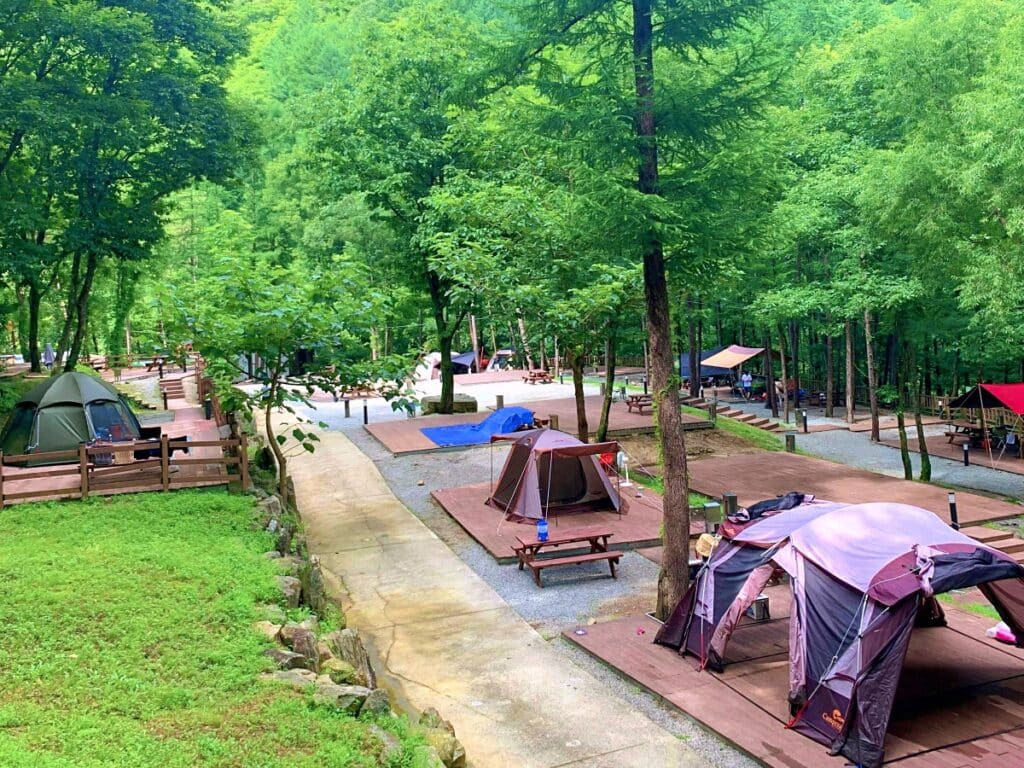 새로운 야영 자의 의무 : Bobil과 Caravan의 가스 샘플