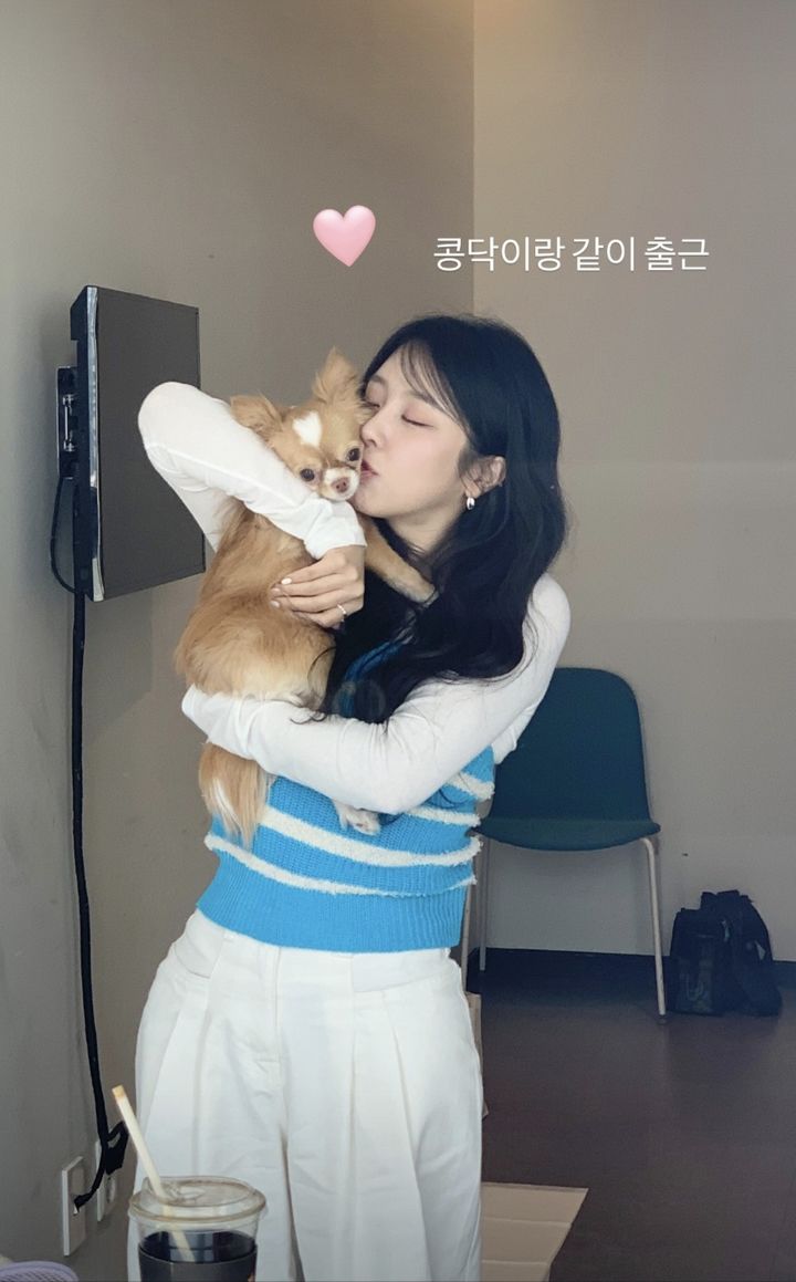 예원 이미지