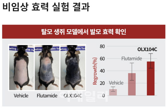 맥 이미지