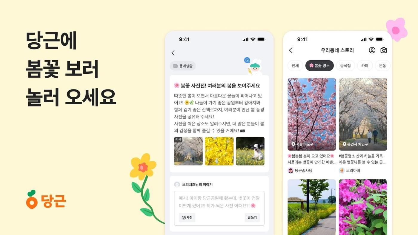 봄꽃처럼 이미지