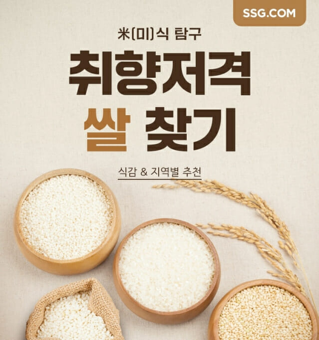 닷컴 이미지
