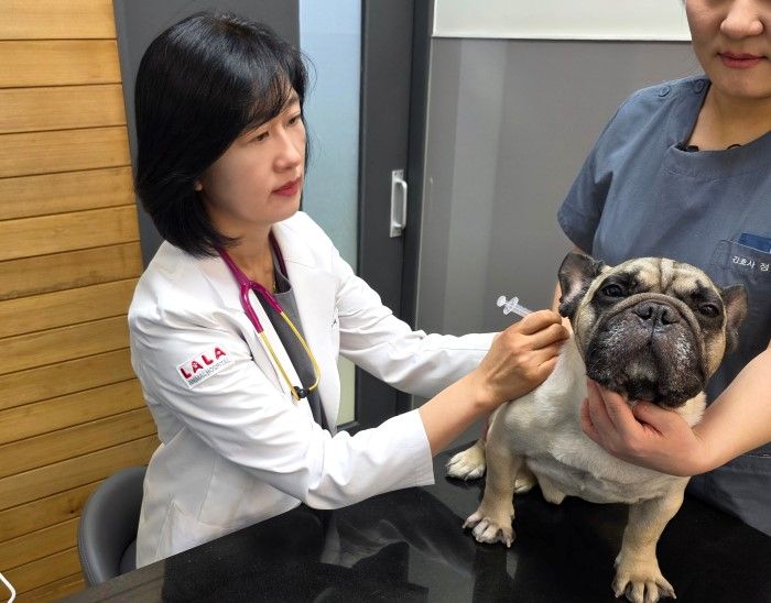 반려동물 예방접종 체크리스트 사진 1