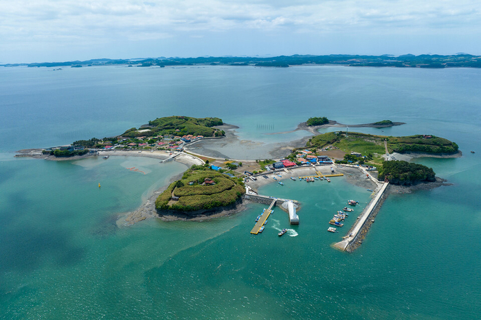 죽도 이미지