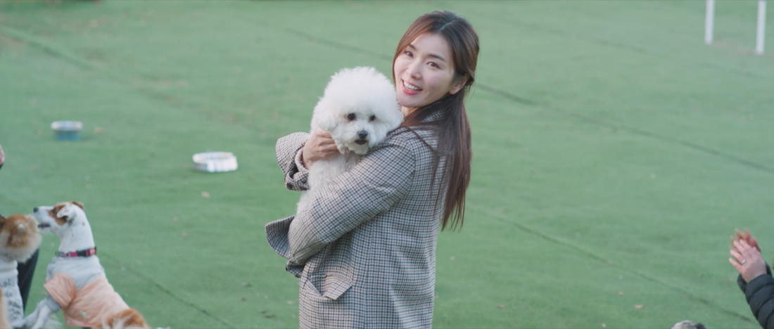 해피 이미지
