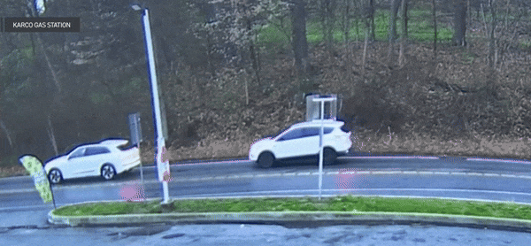 지난 7일(현지 시각) 미국 펜실베이니아주에서 거대한 나무가 도로 위 차량을 덮치는 사고가 발생했다. 사진= 카르고 주유소/CBS 뉴스 캡처