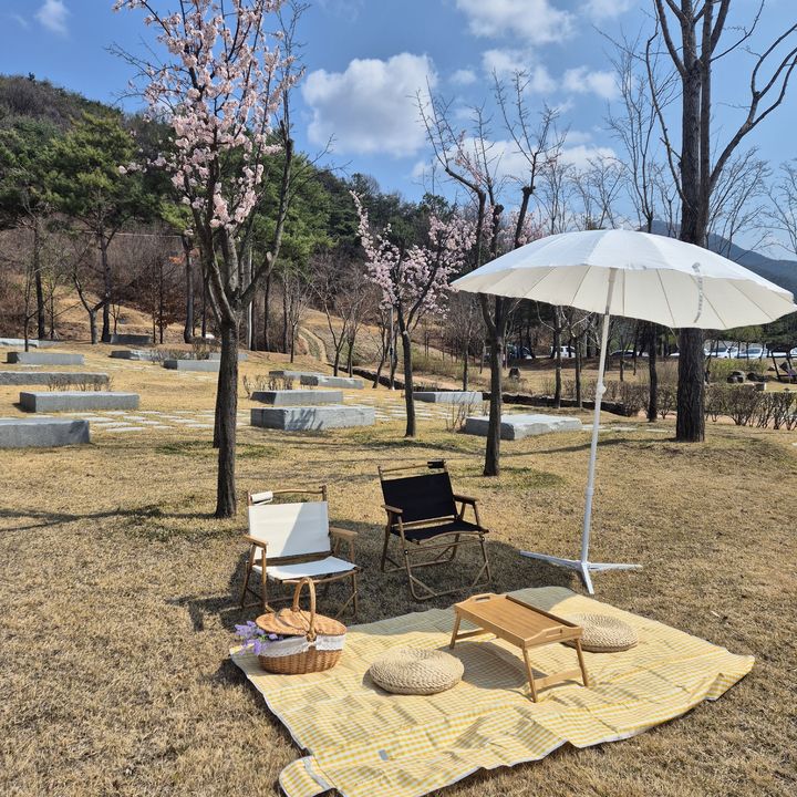 피크닉 이미지