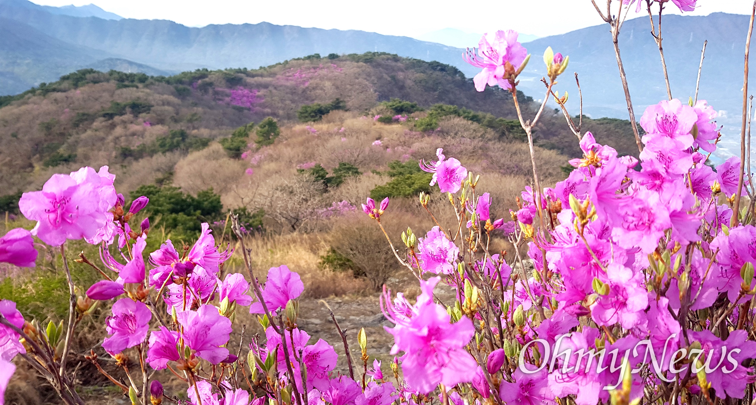 화왕산 이미지