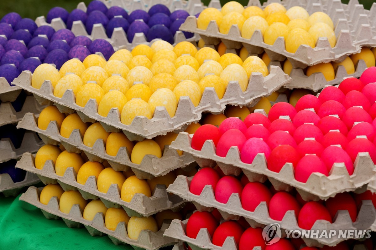 그린계란 이미지