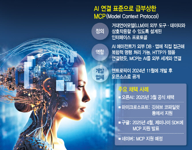 MCP 이미지