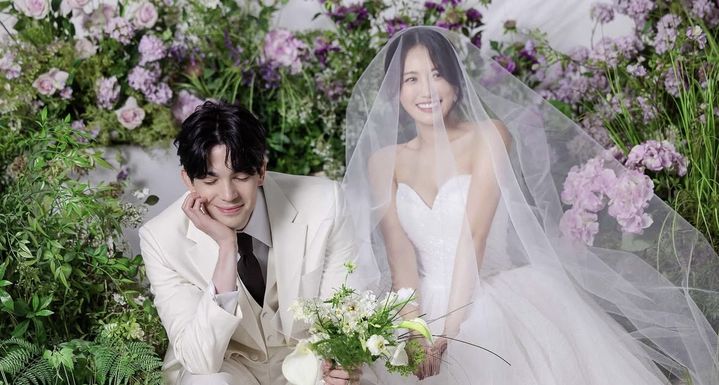 로빈 이미지