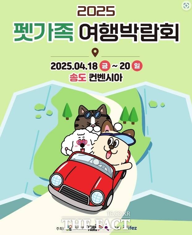 마이팀페어스 이미지