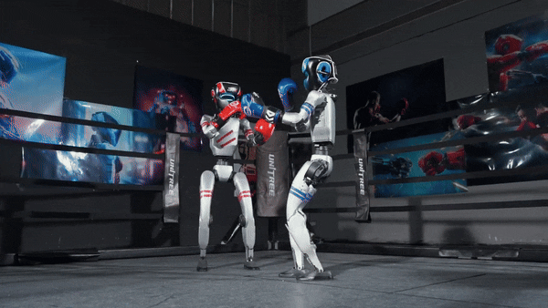 휴머노이드 로봇과의 복싱 생중계가 다음 달 개최될 예정이다. (출처=유니트리 유튜브)