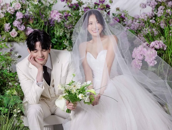 로빈 이미지