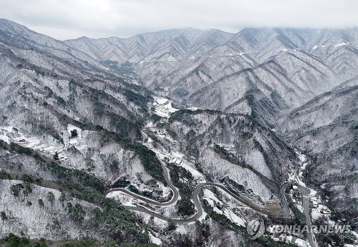 춘설 이미지