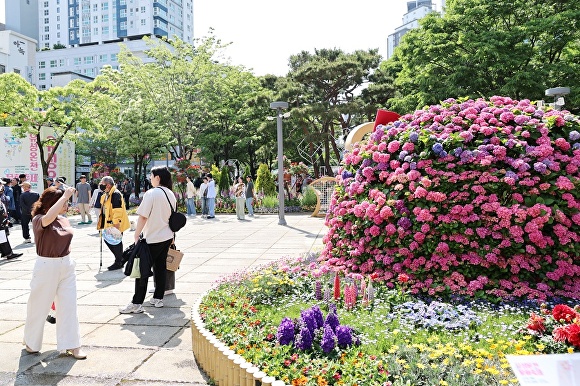 유성 이미지