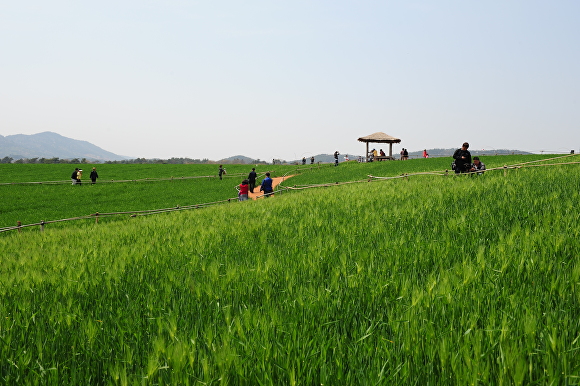 한수원(주)한빛원자력본부 이미지