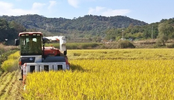 쌀이네 이미지