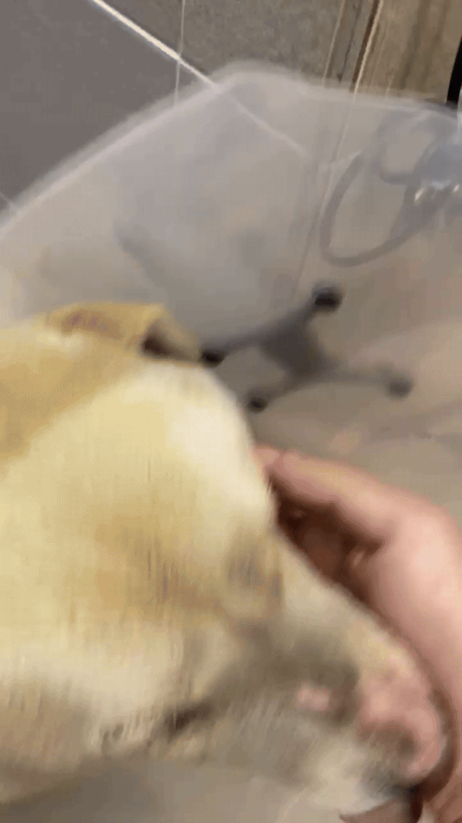 네게 분명 일어났던 일을 기록으로 남기는 것. 더는 이런 아픔을 겪지 않게, 조금이라도 더 낫게 만들겠다는, 뒤늦은 미안함으로 맺는 약속일 거라고./사진=남형도 기자