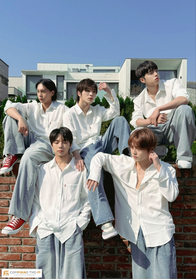 19 이미지
