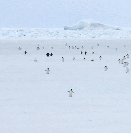 0cedf27ec4f36ff32399f0e4309c701930e3ef90e31bec75bd42e19d5236a2ae36787360bc54bd2c6456f613246832674454e62bd322