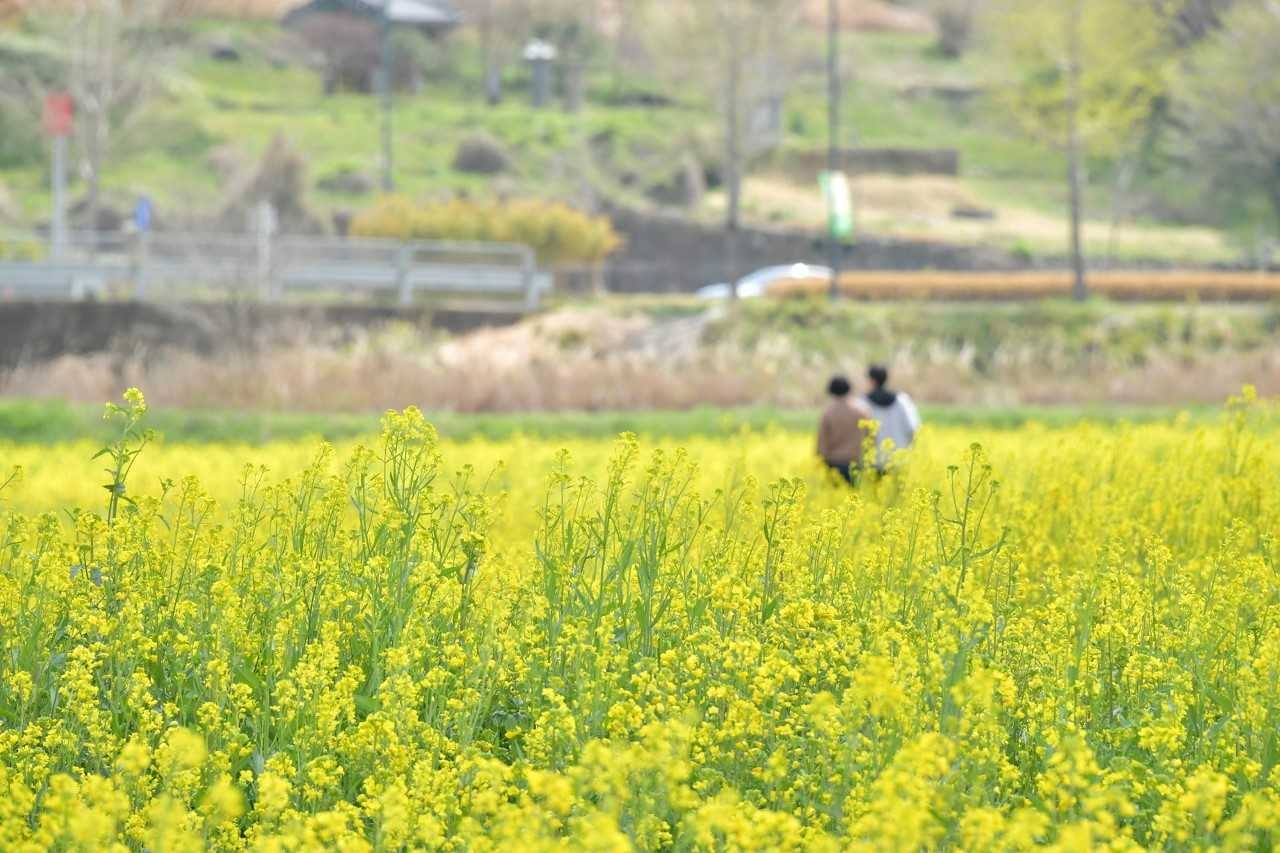 물든 이미지