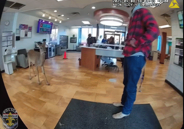 페이스북 갈무리 @Louisville Metro Police Department