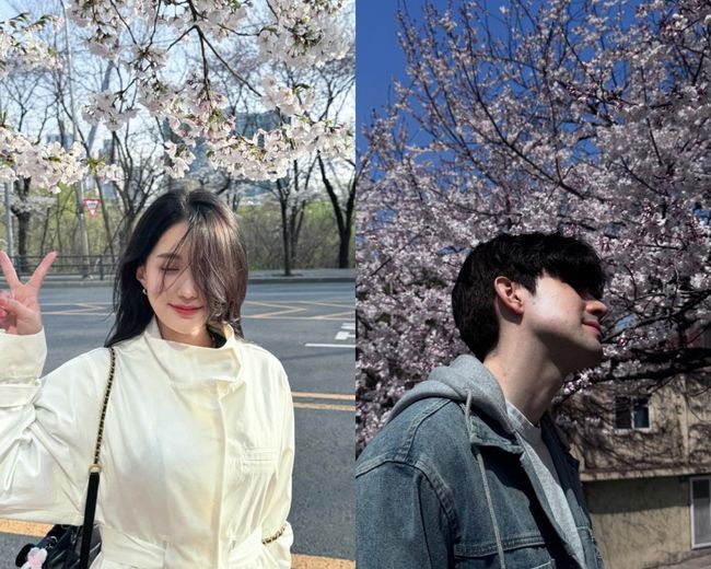 로빈 이미지