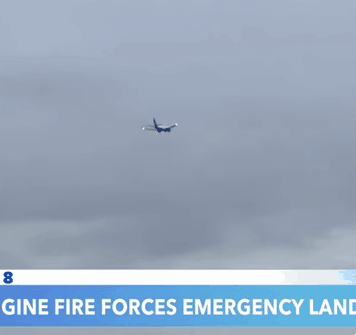 미국 현지시간으로 지난 13일 덴버 국제공항을 출발해 캐나다 에드먼턴 국제공항으로 향하던 유나이티드항공 보잉 737-800 여객기 엔진에 동물이 빨려 들어가 폭발하는 사고로 화재가 발생했다. 사상자는 나오지 않았다. abc뉴스 영상 캡처