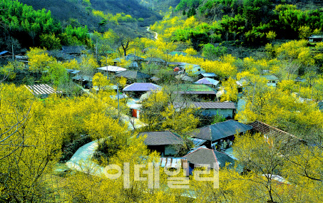 산촌 이미지