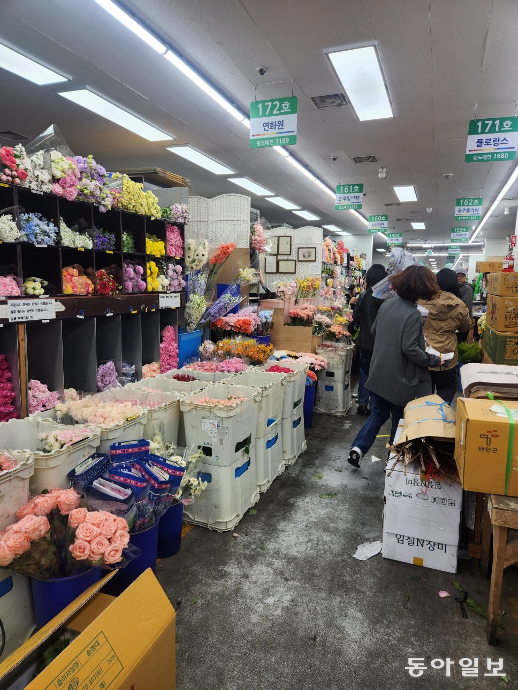 송이투어 이미지