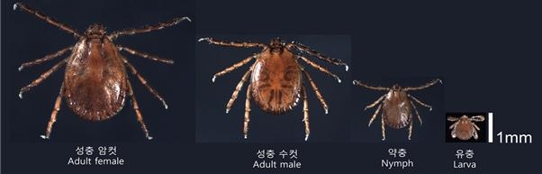 바글바글 이미지