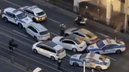 온라인 커뮤니티 갈무리