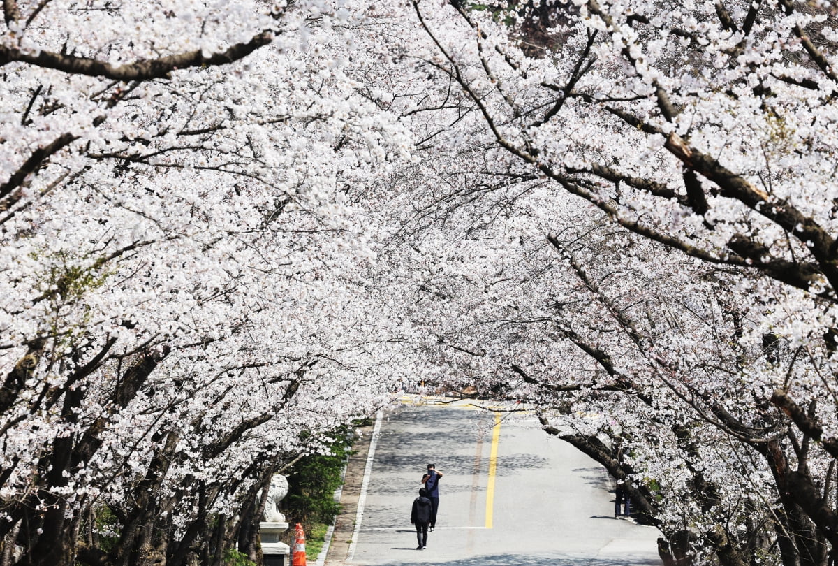 세계길 여행사 이미지